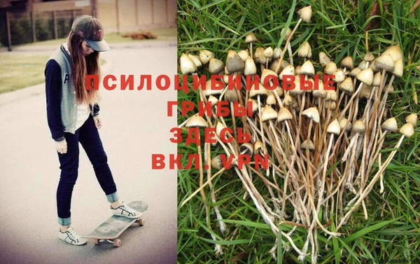 ALPHA-PVP Козловка