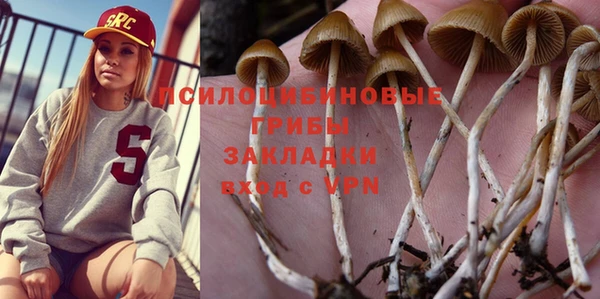 эйфоретик Кодинск