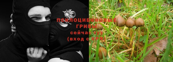 гидропоника Козельск
