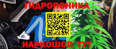 a pvp Славгород